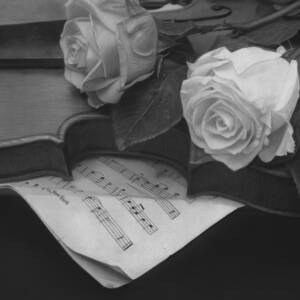 Spring Melody