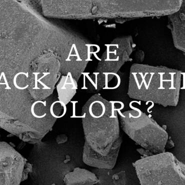 Are Black and White Colors?