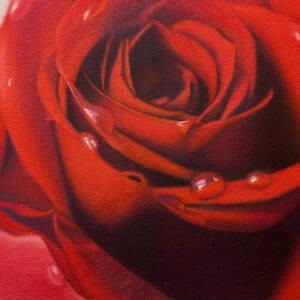 Love Rose