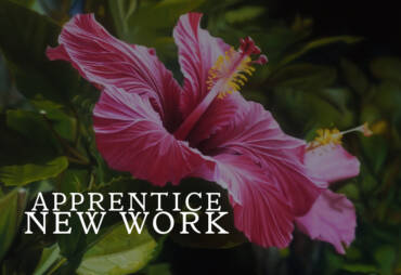 Apprentice’s New Creative Pieces