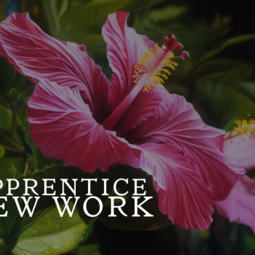 Apprentice’s New Creative Pieces